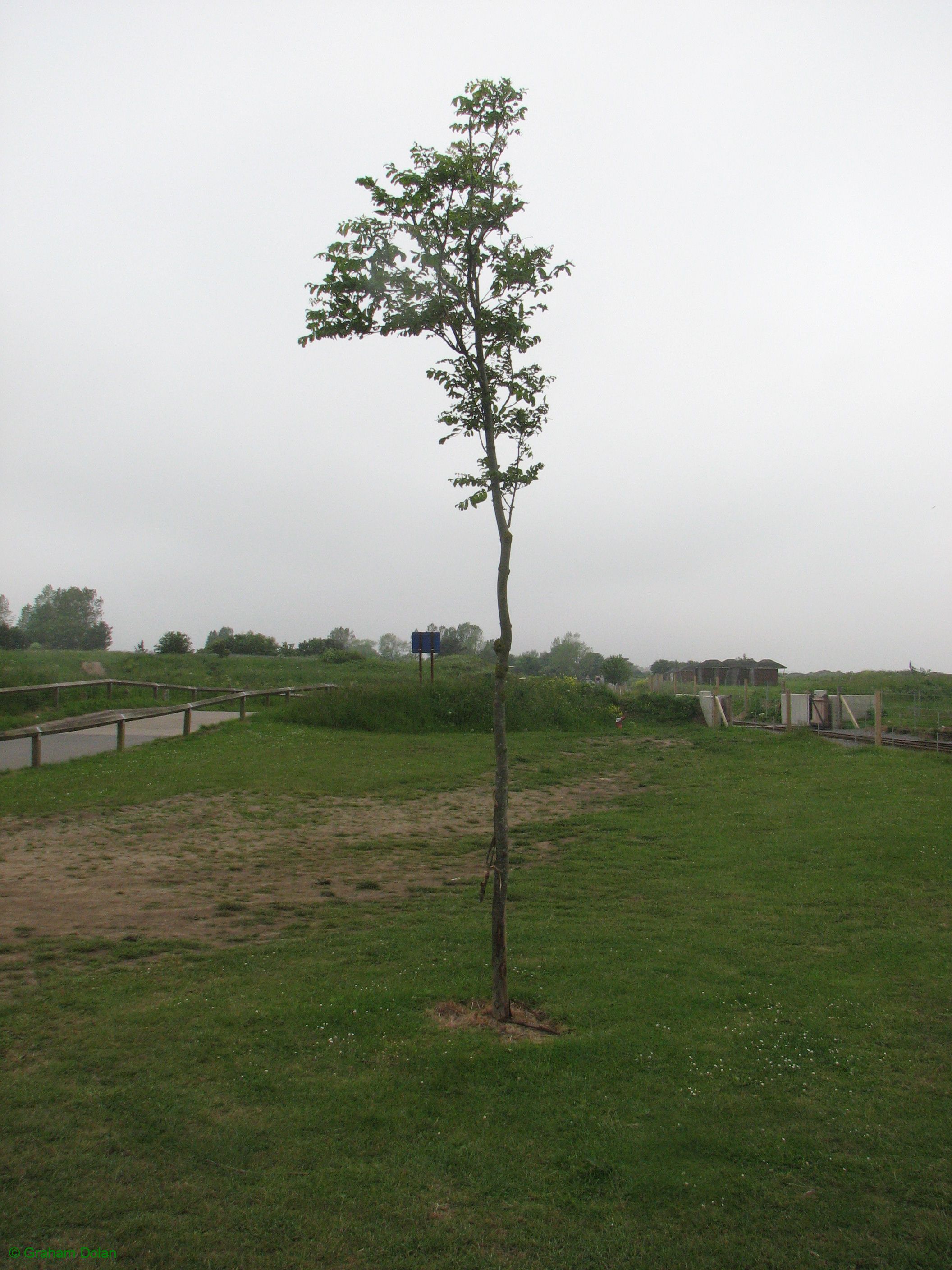 Greenwich Meridian Marker; England; Lincolnshire; Cleethorpes